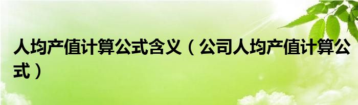 人均产值计算公式含义(公司人均产值计算公式)