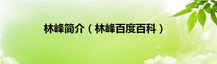 林峰简介（林峰百度百科）