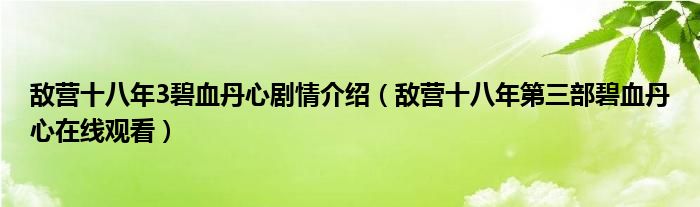 敌营十八年3碧血丹心剧情介绍(敌营十八年第三部碧血丹心在线观看)