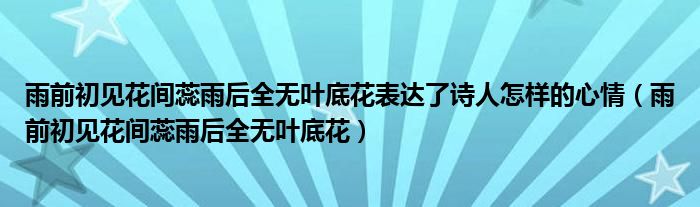 雨前初见花间蕊雨后全无叶底花表达了诗人怎样的心情(雨前初见花间蕊雨后全无叶底花)