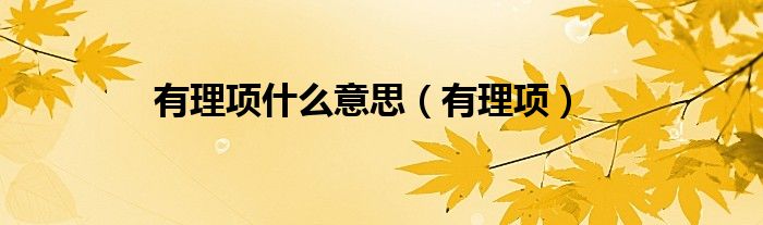 有理项什么意思(有理项)