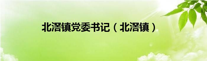 北滘镇党委书记（北滘镇）