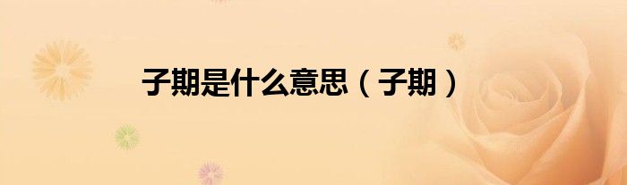 子期是什么意思（子期）