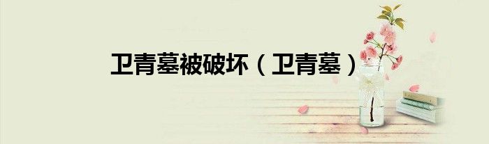 卫青墓被破坏（卫青墓）