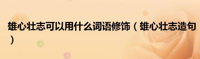 雄心壮志可以用什么词语修饰(雄心壮志造句)