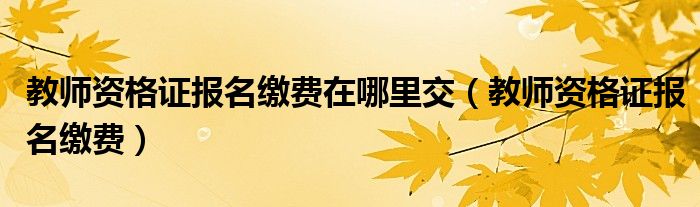 教师资格证报名缴费在哪里交(教师资格证报名缴费)
