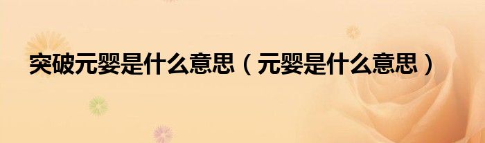 突破元婴是什么意思(元婴是什么意思)