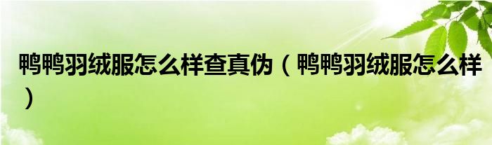 鸭鸭羽绒服怎么样查真伪(鸭鸭羽绒服怎么样)