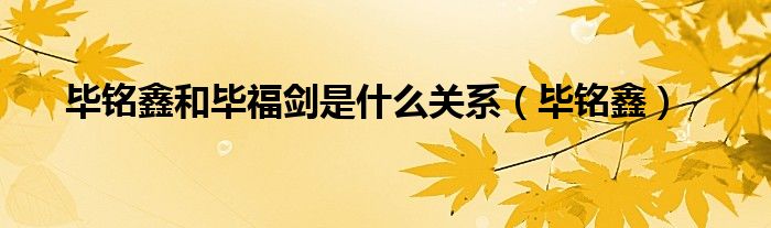 毕铭鑫和毕福剑是什么关系(毕铭鑫)