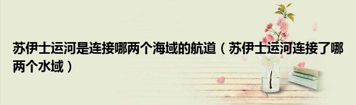苏伊士运河是连接哪两个海域的航道(苏伊士运河连接了哪两个水域)