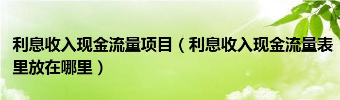 利息收入现金流量项目(利息收入现金流量表里放在哪里)
