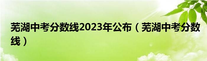 芜湖中考分数线2023年公布(芜湖中考分数线)