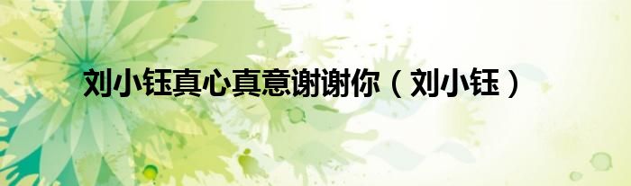 刘小钰真心真意谢谢你(刘小钰)