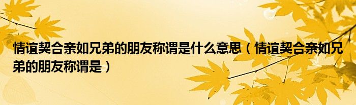 情谊契合亲如兄弟的朋友称谓是什么意思(情谊契合亲如兄弟的朋友称谓是)