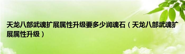 天龙八部武魂扩展属性升级要多少润魂石(天龙八部武魂扩展属性升级)