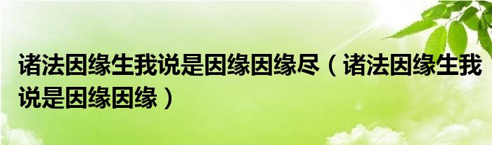 诸法因缘生我说是因缘因缘尽(诸法因缘生我说是因缘因缘)