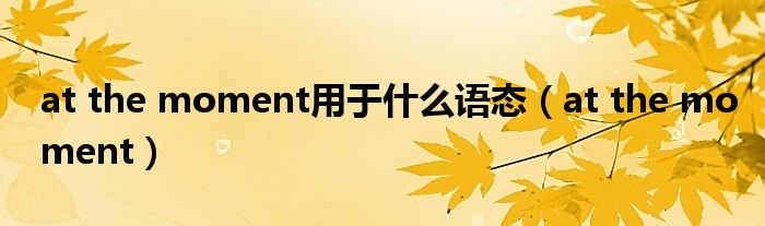 at the moment用于什么语态(at the moment)