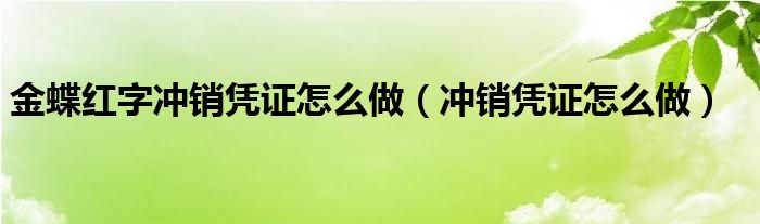 金蝶红字冲销凭证怎么做(冲销凭证怎么做)