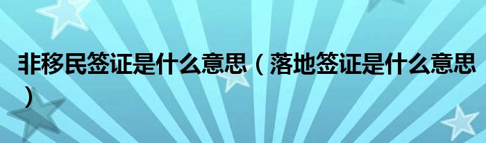 非移民签证是什么意思(落地签证是什么意思)