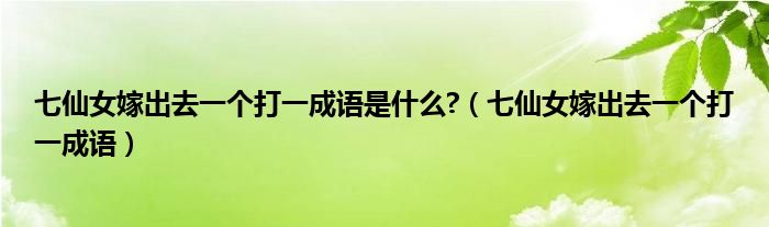 七仙女嫁出去一个打一成语是什么?(七仙女嫁出去一个打一成语)