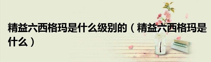 精益六西格玛是什么级别的(精益六西格玛是什么)