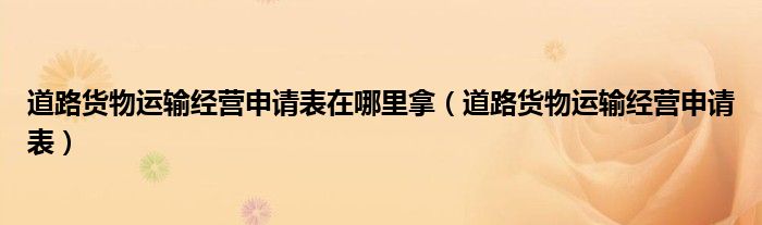 道路货物运输经营申请表在哪里拿(道路货物运输经营申请表)