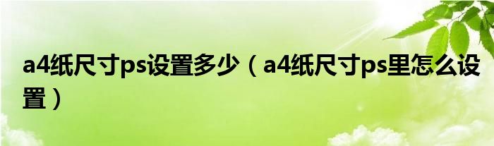 a4纸尺寸ps设置多少(a4纸尺寸ps里怎么设置)