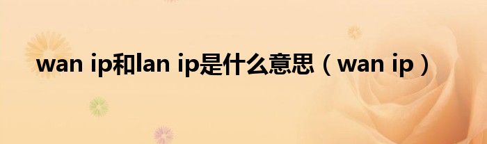 wan ip和lan ip是什么意思(wan ip)