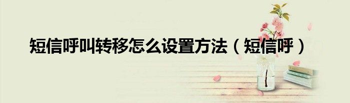 短信呼叫转移怎么设置方法(短信呼)