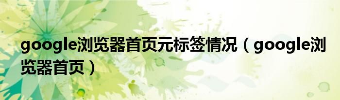 google浏览器首页元标签情况(google浏览器首页)