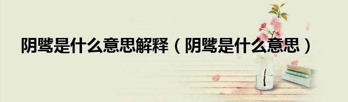 阴骘是什么意思解释(阴骘是什么意思)