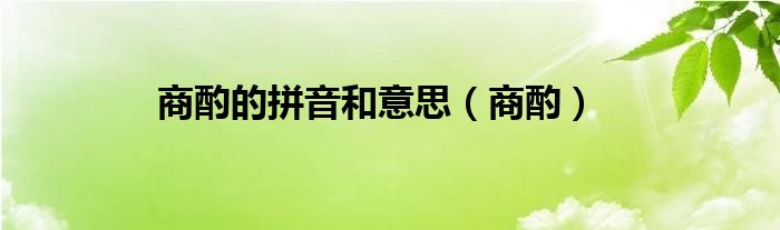 商酌的拼音和意思(商酌)