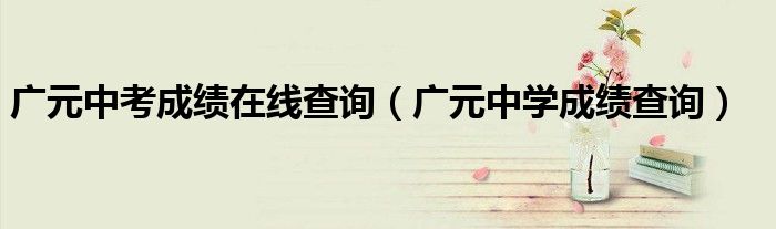 广元中考成绩在线查询(广元中学成绩查询)