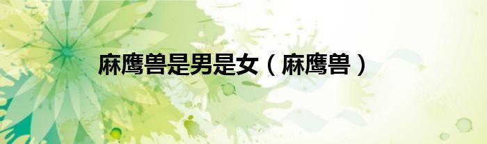 麻鹰兽是男是女（麻鹰兽）
