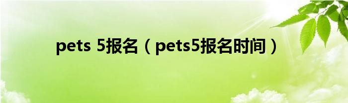 pets 5报名(pets5报名时间)