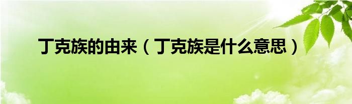 丁克族的由来(丁克族是什么意思)