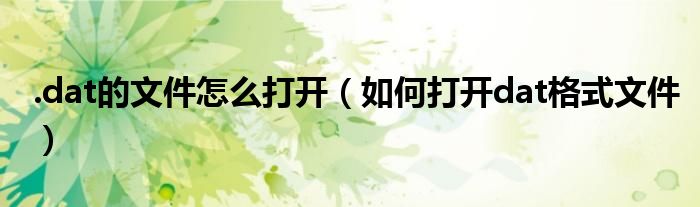 .dat的文件怎么打开(如何打开dat格式文件)