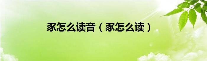 豕怎么读音（豕怎么读）
