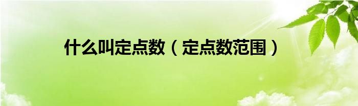 什么叫定点数（定点数范围）