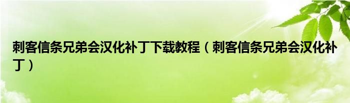 刺客信条兄弟会汉化补丁下载教程(刺客信条兄弟会汉化补丁)