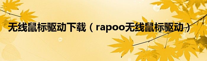 无线鼠标驱动下载(rapoo无线鼠标驱动)