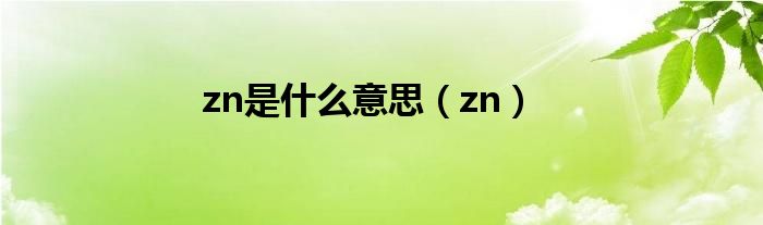 zn是什么意思(zn)