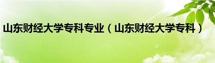 山东财经大学专科专业(山东财经大学专科)
