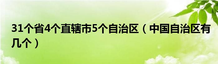 31个省4个直辖市5个自治区(中国自治区有几个)