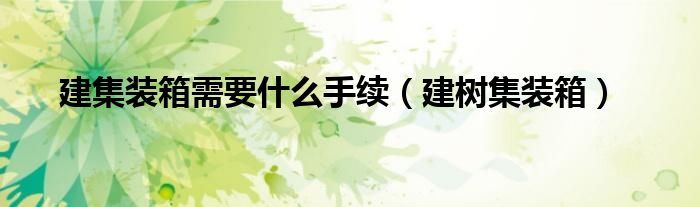 建集装箱需要什么手续(建树集装箱)