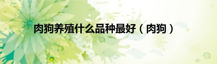肉狗养殖什么品种最好(肉狗)