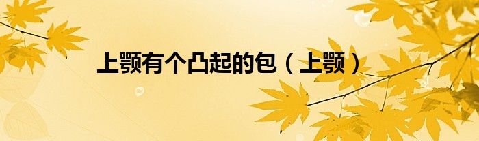 上颚有个凸起的包(上颚)