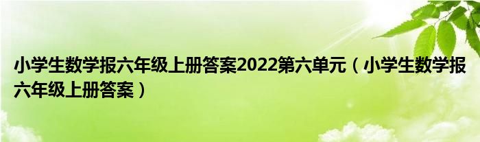 小学生数学报六年级上册答案2022第六单元(小学生数学报六年级上册答案)
