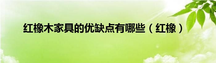 红橡木家具的优缺点有哪些(红橡)