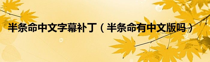 半条命中文字幕补丁(半条命有中文版吗)